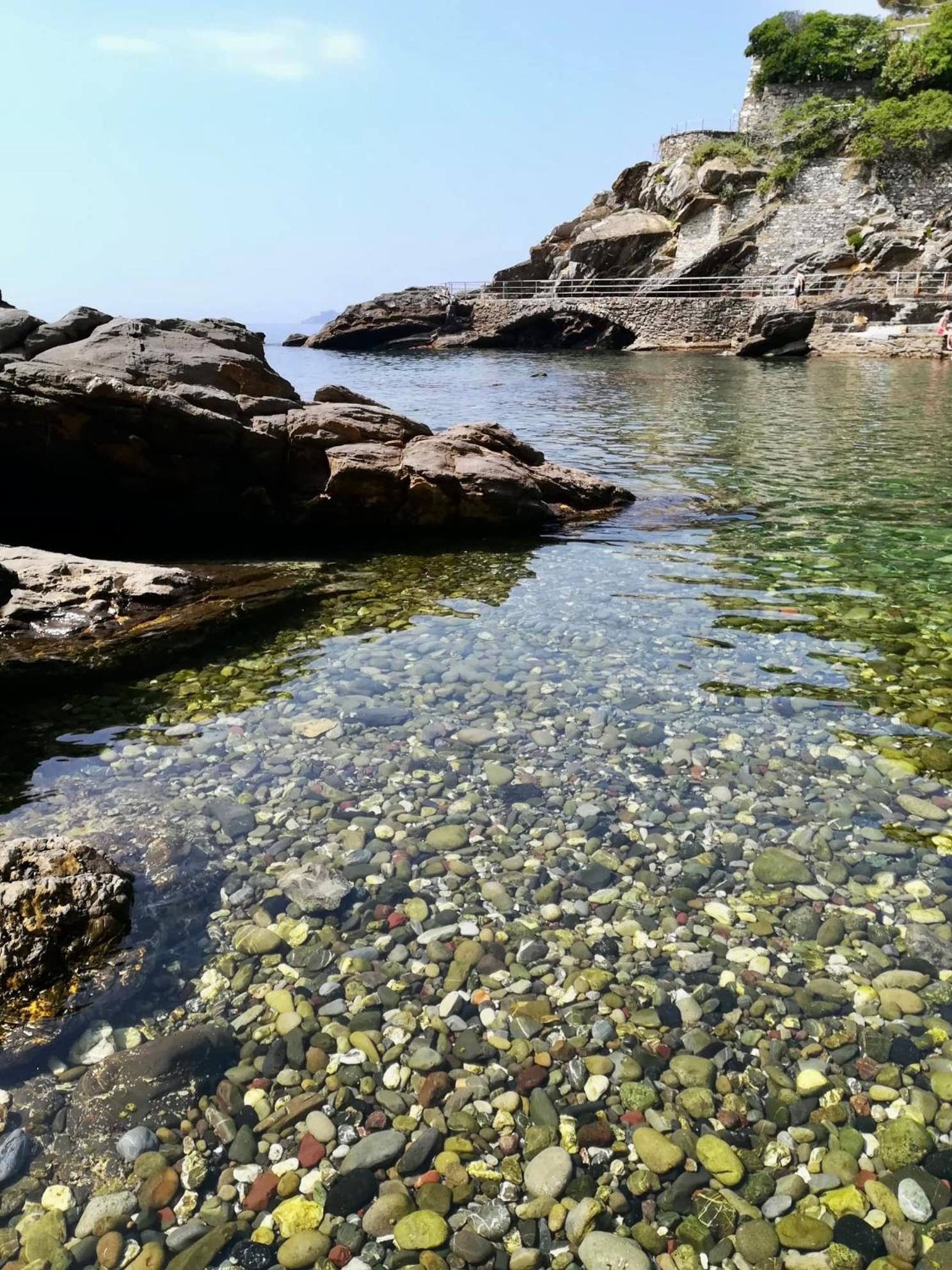 Appartamento Pitosforo Zoagli Esterno foto